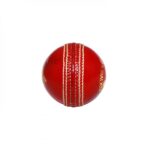 CA Test Star Cricket Ball