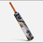 HS 41 Cricket Bat